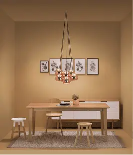 dining-room